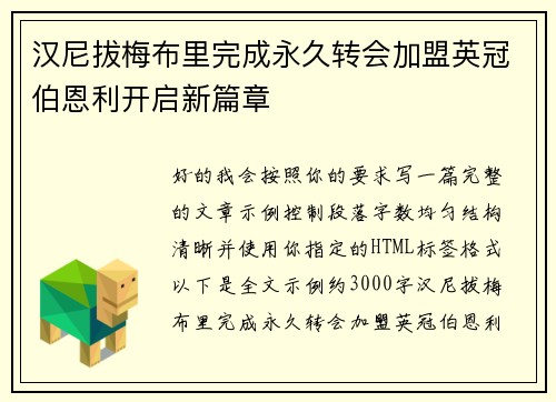 汉尼拔梅布里完成永久转会加盟英冠伯恩利开启新篇章